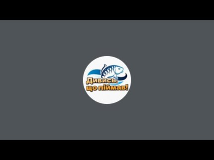 У каналі Дивись, що піймав! відбувається прямий ефір.