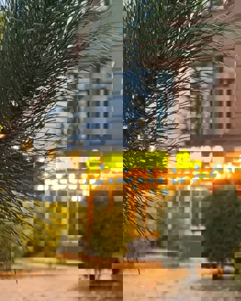 Ще трохи — і осінь зникне, залишивши нам лише фото, спогади й відчуття тепла 🧡🤎

Але кольори не зникають назавжди — вони просто чекають наступного року, щоб знову повернутись у Київ 🍁🍂

осінь | кольори | Київ | листя | золото | атмосфера | фото | місто | настрій | краса

#KyivVibes #AutumnKyiv #kyiv #kyivphoto #kyivgram #kyivcity #CityMood #KyivLove #UrbanMagic #KyivLife #KyivDream #GoldenSeason #київ #осінь